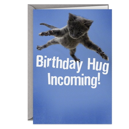 Hallmark Shoebox Birthday Greeting Card 5" x 7.2"