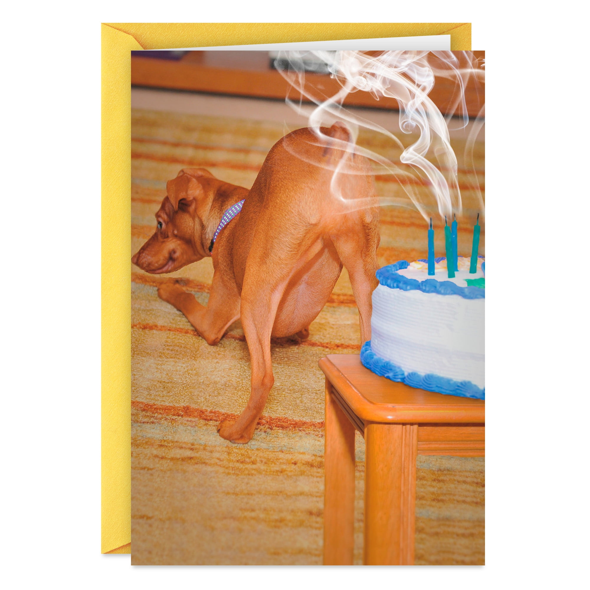 Hallmark Shoebox Funny Birthday Card (Gassy Dog)