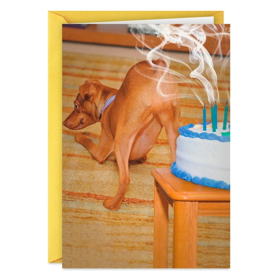 Hallmark Shoebox Funny Birthday Card (Gassy Dog)