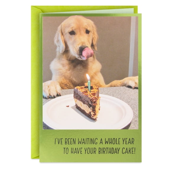 Hallmark Shoebox Funny Birthday Card (In Dog Years)