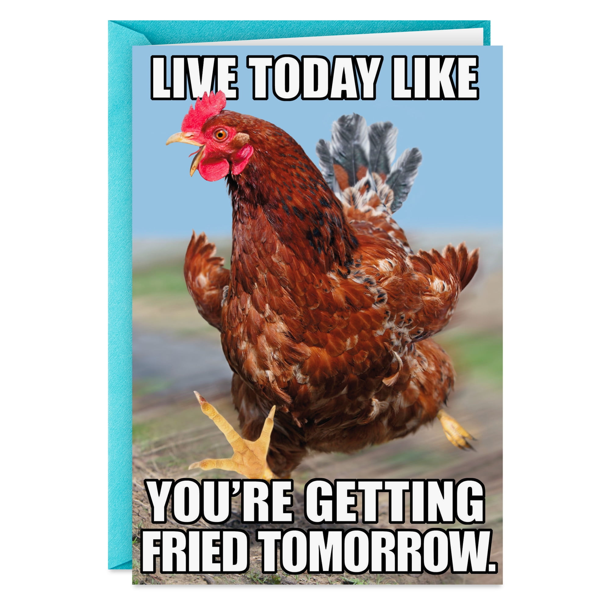 Hallmark Shoebox Funny Birthday Card (Live for Today)