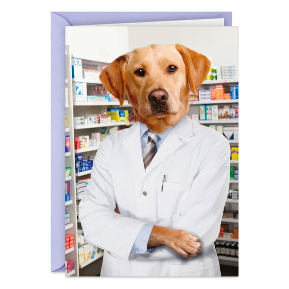 Hallmark Shoebox Funny Birthday Card (The Lab Results Are In)