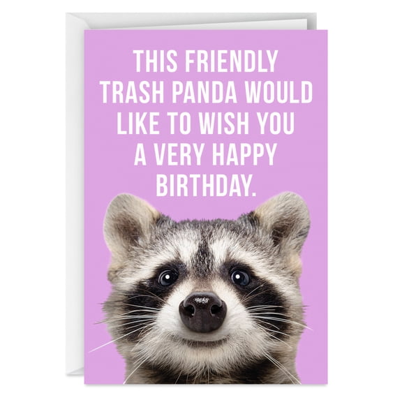 Hallmark Shoebox Funny Birthday Card (Trash "Panda")