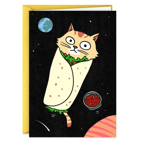 Hallmark Shoebox Funny Card for Birthdays, Thinking of You or Just Because (Please Enjoy This Purrito)