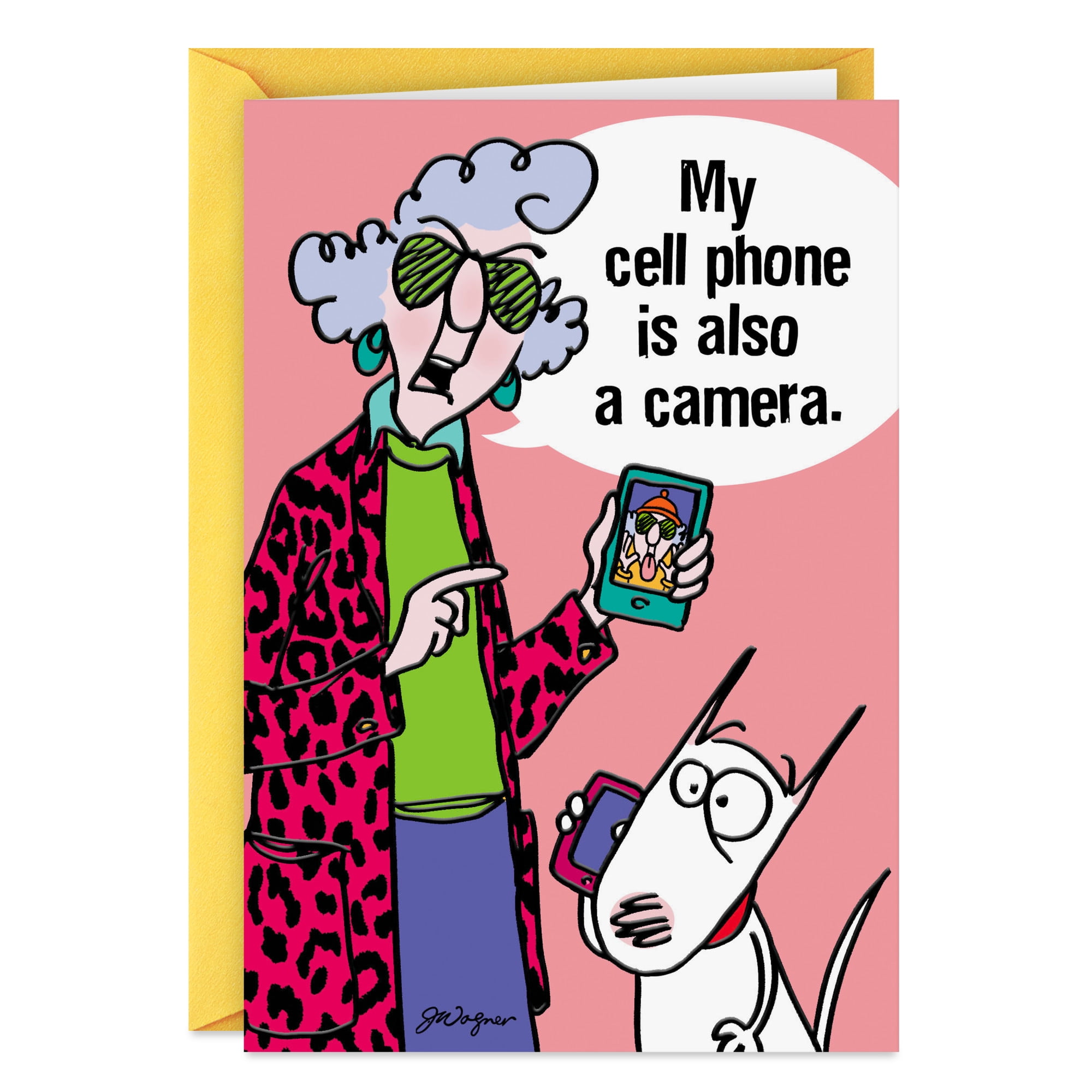 Hallmark Shoebox Maxine Funny Birthday Card (This Card Is Also Your Present)