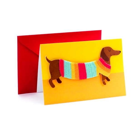 Hallmark Signature Birthday Greeting Card (Dog in Sweater)