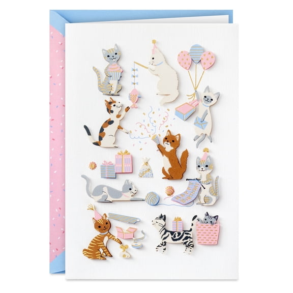 Hallmark Signature Funny Birthday Card (Punny Cat Wishes)