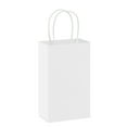 thumbnail image 1 of Hallmark Small Gift Bag (Solid White), 1 of 6