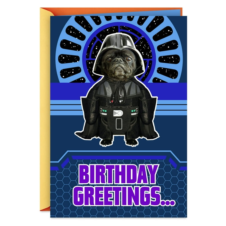 Hallmark Music Box Birthday Card - Plays 'Birthday Thong' Song, Hologram Foil, Interactive Stand-Up & Blow Feature
