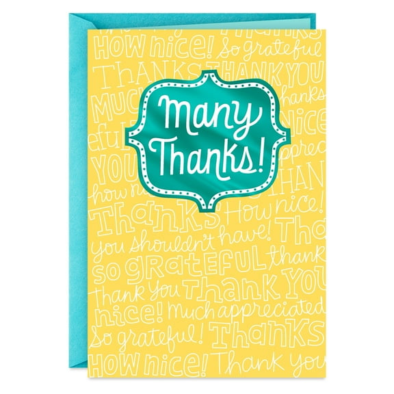 Hallmark Thank You Card (Many Thanks)