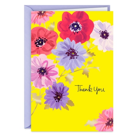 Hallmark Thank You Card (Your Kindness Is Appreciated)