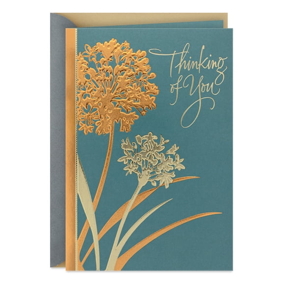 Hallmark Thinking of You Card (Strength, Hope and Comfort)