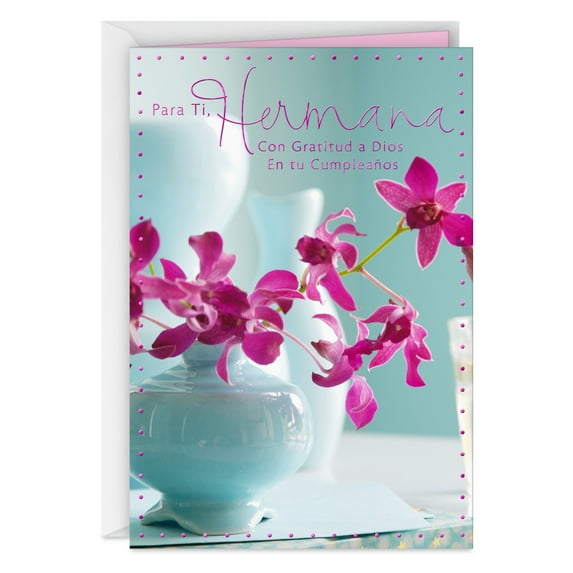 Hallmark VIDA Spanish-Language Birthday Card for Sister (You're a Blessing in My Life)