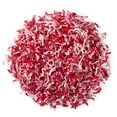 thumbnail image 1 of Hallmark Valentine's Day Shredded Paper Pack (Red, Pink and White), 1 of 6