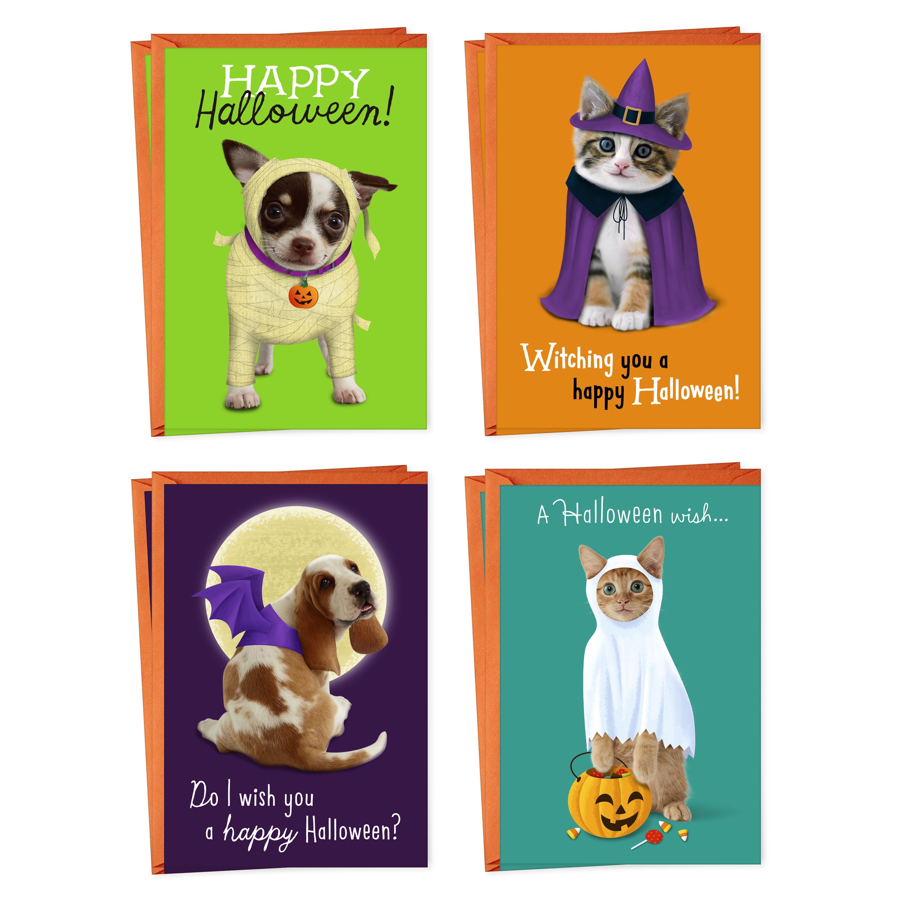 Hallmark Assorted Halloween Cards (Pets in Costume), 8 Count