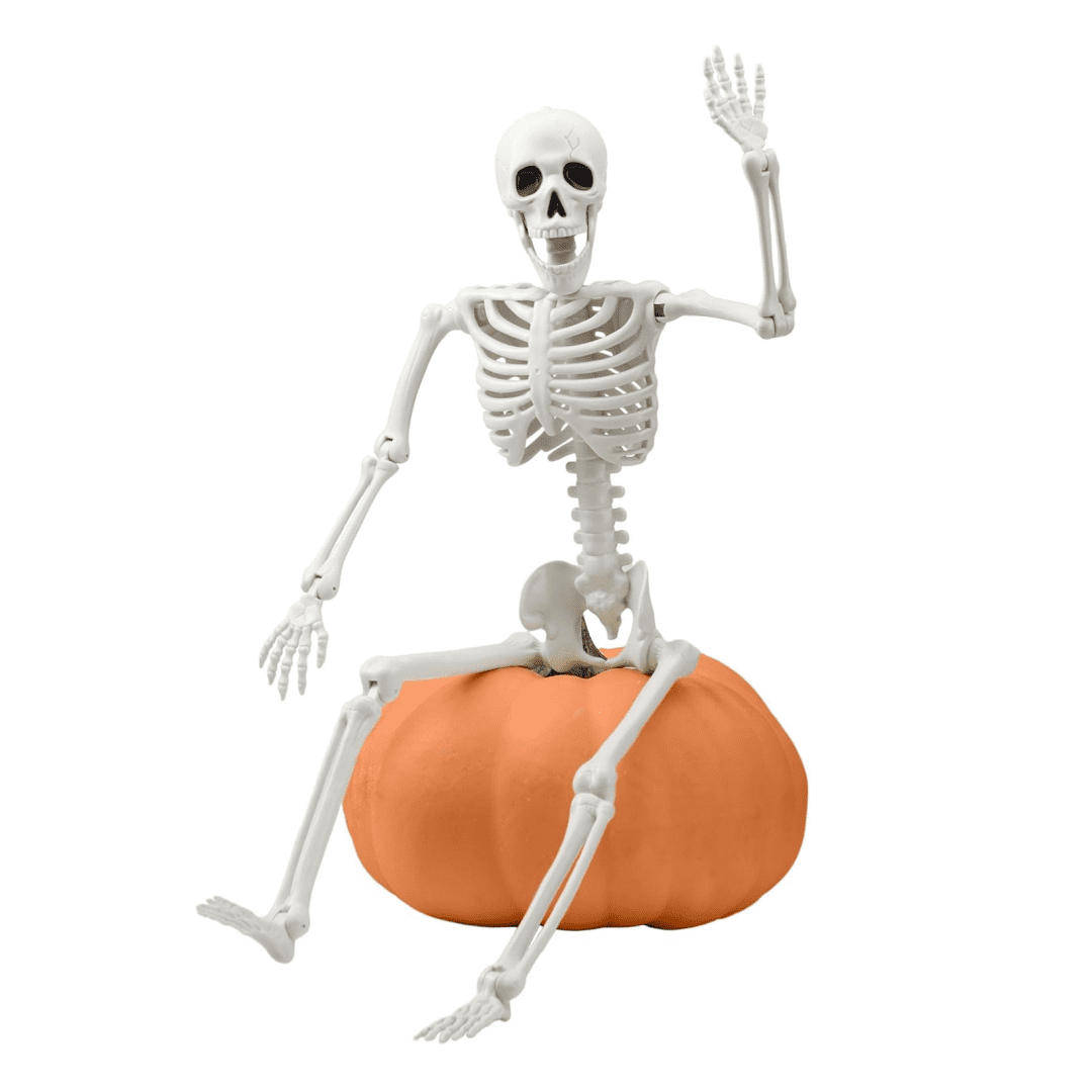 Halloween Skeleton Decor, 5.4ft Posable Plastic Skeleton, Large Full ...