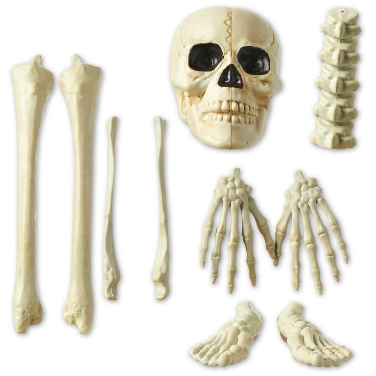 Halloween 12 Piece Plastic Bag of Lifesize Bones Decor in Bone