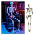 thumbnail image 1 of Halloween 15.7 inch skull bones Posable Human Skeleton Halloween Decoration Party Prop, 1 of 7