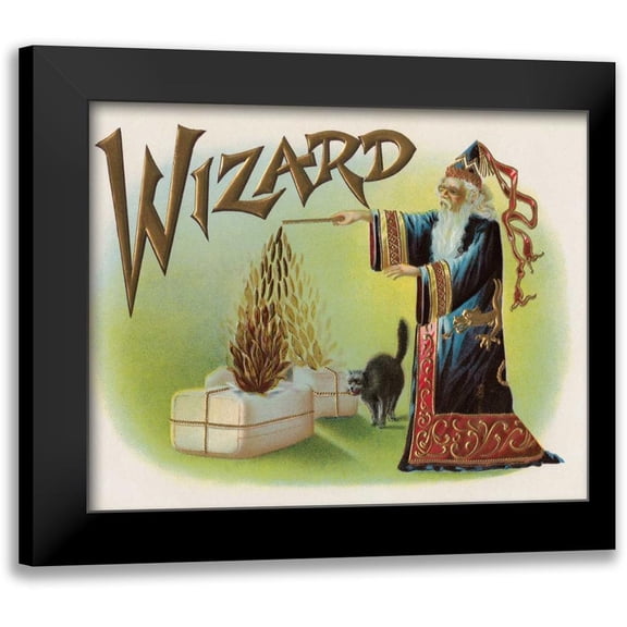 Halloween 24x20 Black Modern Framed Museum Art Print Titled - Wizard