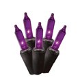Halloween 70Count Indoor/Outdoor Purple Incandescent Mini Lights, 13.5