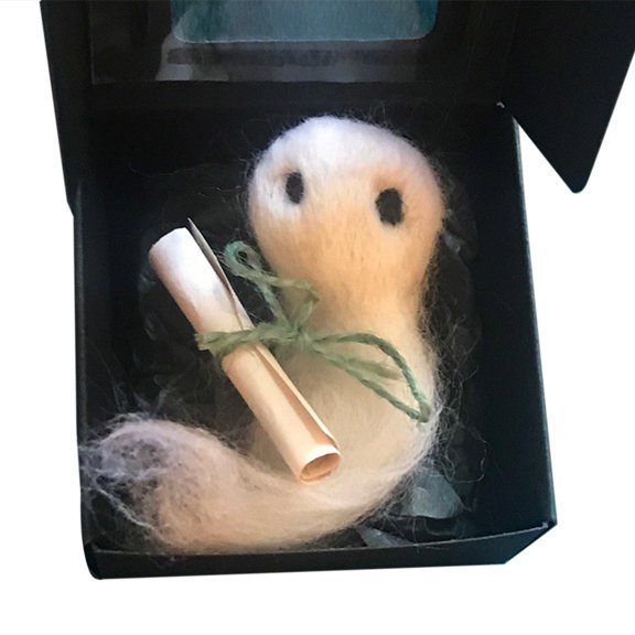 Halloween Adoption Wool Felt Plush Toy with Unique Scroll Paper in Box Pocket Friend Accessories