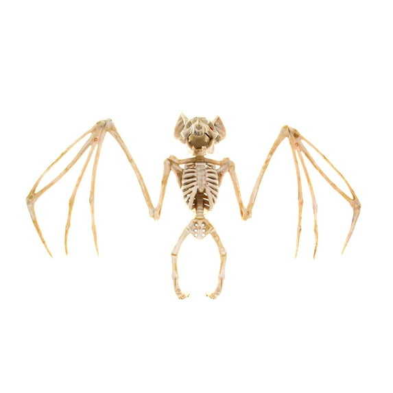 Halloween Bat Skeleton Decorations Halloween Realistic Scary Bat Skeleton Figurine Skeleton Ghost Festival Horror Props Scary Toys for Craft Halloween Hanging Decor & Party Favors