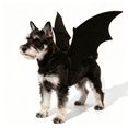 thumbnail image 1 of Halloween Bat Wings Costume for Cat Puppy Adjustable Neck Chest Velcro, Small Dog Cat Fit, Stays on Back for Walks, Halloween Party Photos, 1 of 5