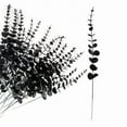thumbnail image 1 of Halloween Black Eucalyptus Stems 10pcs Artificial Leaves Gothic Faux Eucalyptus Stems Branches 15 inch for Wedding Vase Filler Party DIY Bouquet Home Decor, 1 of 3
