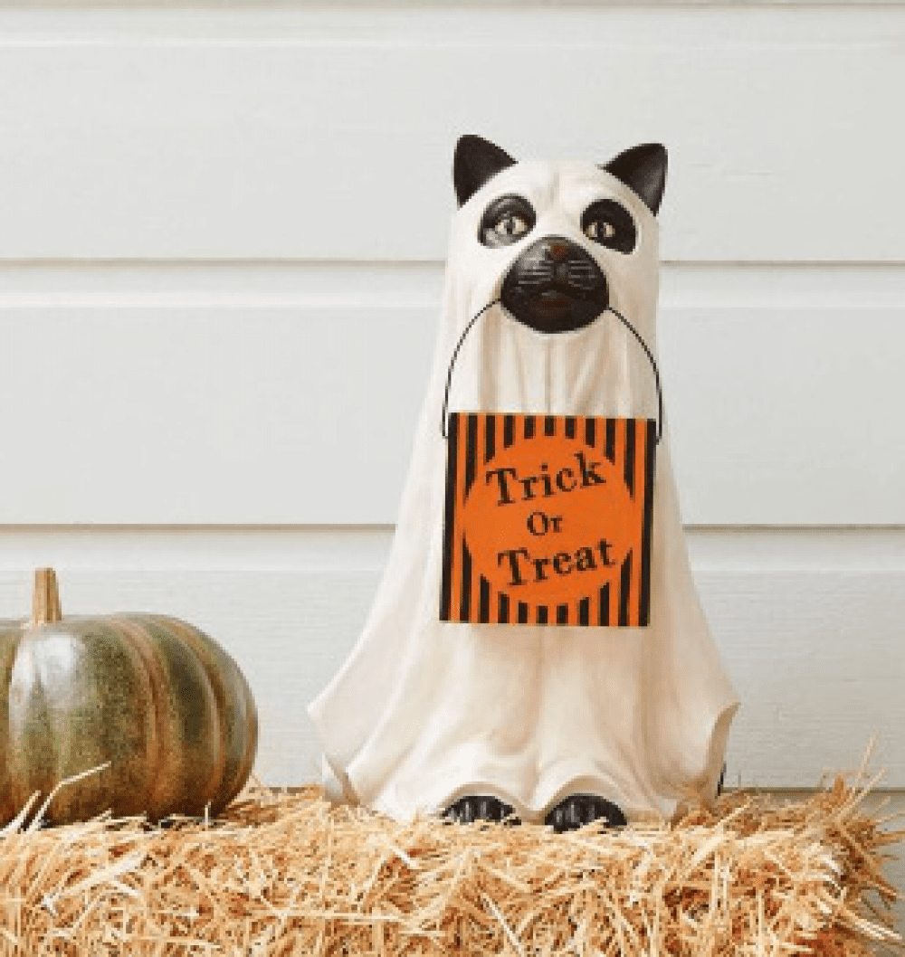Halloween Cat Candy Bowl Holder, Halloween Pumpkin Snack Bowl Station