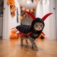 thumbnail image 1 of Halloween Centipede Cat Costume - Soft Adjustable Pet Bug Outfit Funny Creepy Crawly Cosplay Apparel for Small Dogs & Cats, 1 of 8