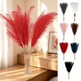 thumbnail image 1 of Halloween Christmas Black Pampas Grass Decor, 10Pcs Faux Pampas Grass 21.6 Inch, Short Artificial Pompous Grass for Gothic Room Decoration, Wedding, Home and Halloween Decoration, 1 of 6