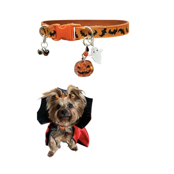 Halloween Collar for Dogs or Cats