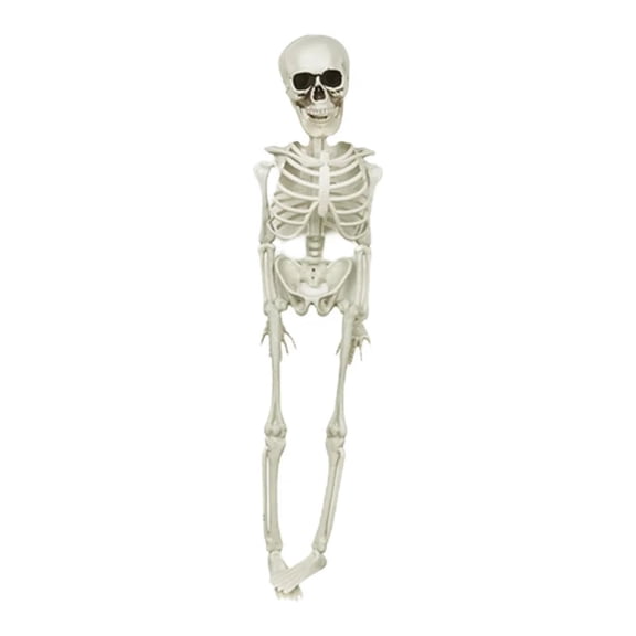 Halloween Creepy Hanging Skeletons — Lifelike Bone Details with Eerie Shadows, Halloween Decorations for Porch Ceilings, Tree Branches & Entryway Displays — great for Trick or Treat Nights