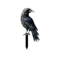 thumbnail image 1 of Halloween Crow Decoration Stake for Garden Displays Spooky Themed Ornament with Pointed Stake for Inserting into Ground or Tree Branches Weather Resistant Accent for Yard Patio, 1 of 7