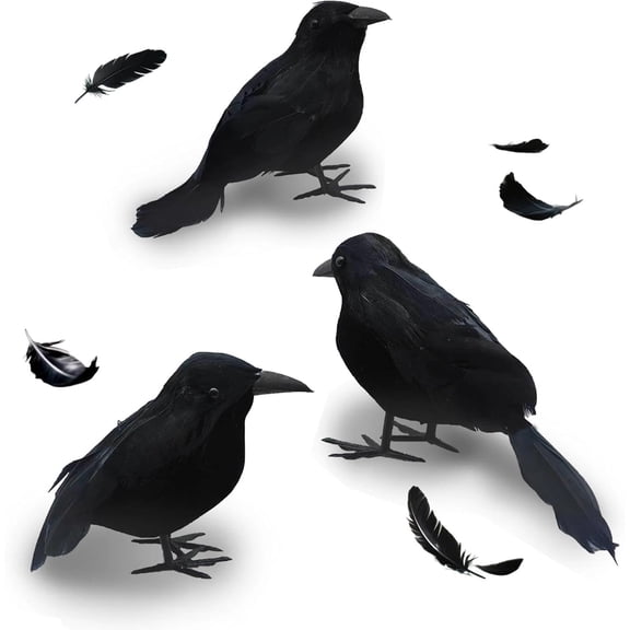 Halloween Crow Decorations 3 Pack Fake Black Crows and Ravens | Assorted Size, Assorted Pose, Handmade Feather Birds, Artificial Raven, Outdoor Indoor Decor