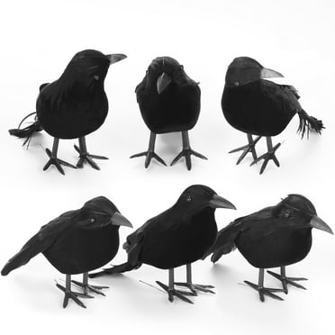 Halloween Crows Realistic Scary Black Bird Decorations  in 3 Sizes, Lifelike Feathered Raven Set Creepy Artificial Indoor & Outdoor Decor for Home, Room, Yard, Garden, School 6pcs