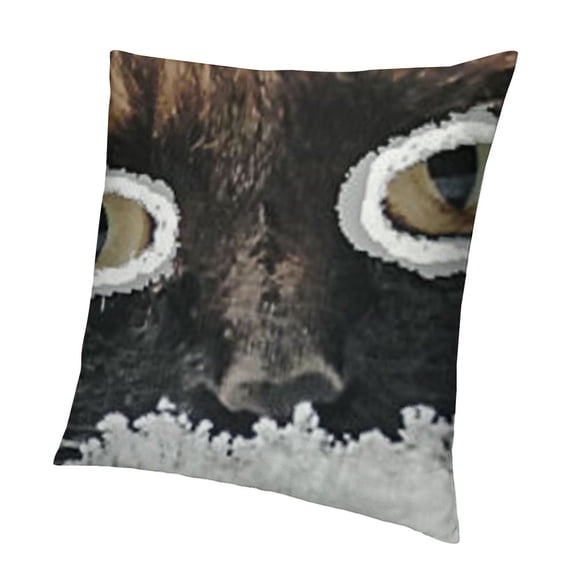 Halloween Decor Pillow Covers Halloween Decorations Throw Pillow Cases Black White October Ghost Cushion