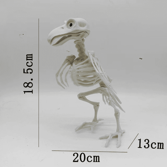 Halloween Decorations Animal Skeleton & Skull Realistic Bones Scary Party Props-Crow