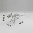 thumbnail image 1 of Halloween Decorations Animal Skeleton & Skull Realistic Bones Scary Party Props-Rat, 1 of 6