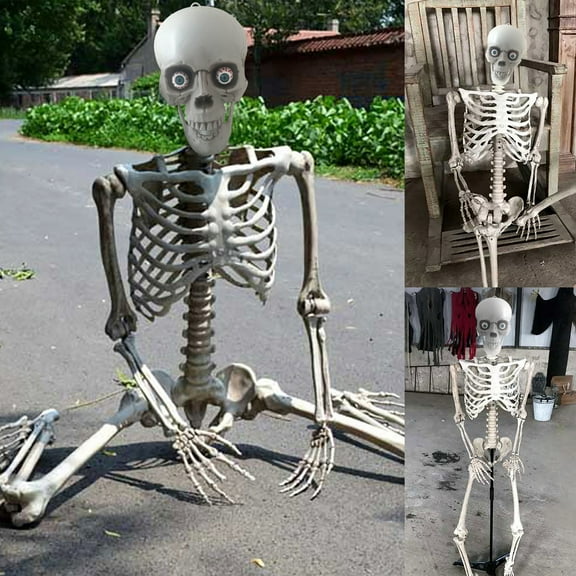 Halloween Decorations Clearance! 67'' Halloween Skeleton, Life Size Skeleton, Halloween Props, Skeleton Decor for Halloween Party Indoor Outdoor