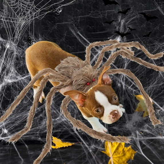 Halloween Decorations Clearance! PRETXORVE Halloween Pet Clothes Big Spider Transformation Costume Dog Costume Costume Pet Transformation Costume Funny Costume