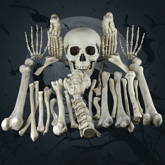 Halloween Decorations - Halloween Skeleton Model, 1:1 Anatomical Bone Set for Medical Study, Educational Teaching, Halloween Decoration, Durable PVC Material, 28 Pieces