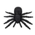 thumbnail image 1 of Halloween Decorations Indoor Spider, Hwkond Halloween Spoof Simulation Black Spider Insect Scene Layout Props Plastic Model, 1 of 7