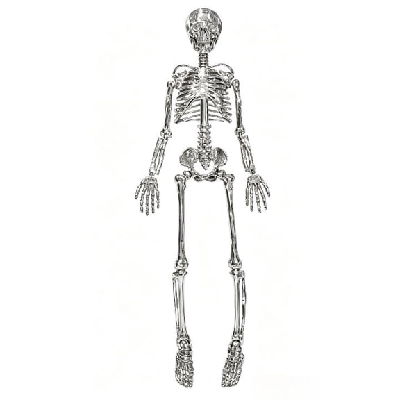 Halloween Disco Skelton Retro Party Decoration, Funky Skeleton Display Figure for Halloween Shelf, Entry Table, Office Desk, Bar Setup, Dance Theme Room, Photo Booth, and Seasonal Decor Accent
