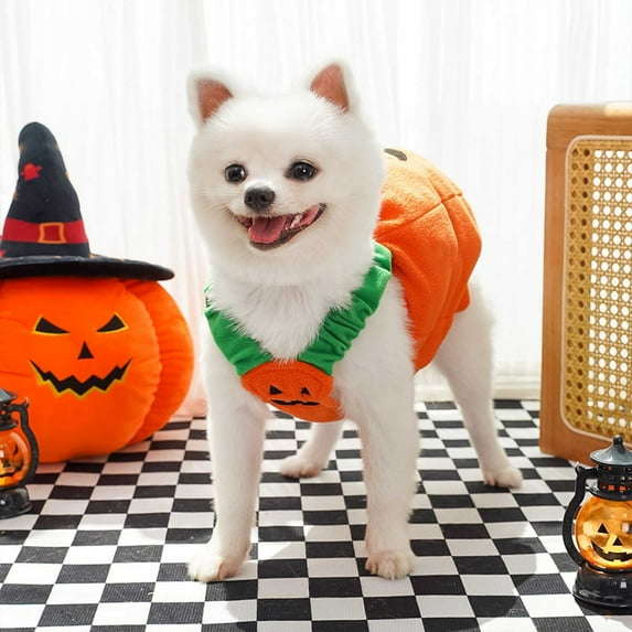 Halloween Dog Cat Outfit, Small Dog Halloween Pumpkin Outfit,Pet Pumpkin Clothes for Halloween Dress Up Party, Pet Funny Carnival(Orange,B)