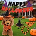 thumbnail image 1 of Halloween Dog Costume Set with Cape Hat Collar & Accessories, Funny Pet Cosplay Dress Up Outfit for Cats Small Medium Dogs, Party Photo Prop Clothes(F), 1 of 9