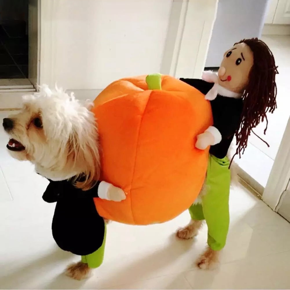 Halloween Pet Costume Funny Pumpkin Dog Cosplay Clothes Autumn Winter Pet  Clothes For Dogs And Cats Festival Party Dress Up Apparel - Temu Australia