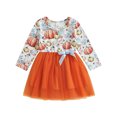 Dresses for Girls Cute Kids Baby Girls Dress Pumpkin Print Layered