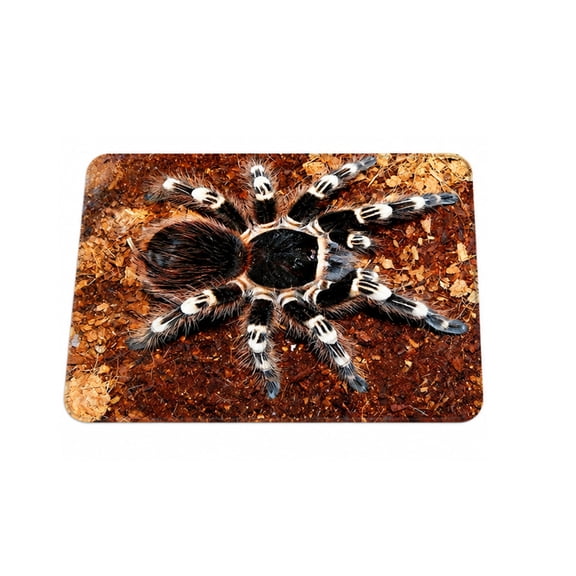 Halloween Entrance Door Mat 50x80cm Crystal Velvet Floor Rug 3D Spider Print Indoor Threshold Carpet for Home