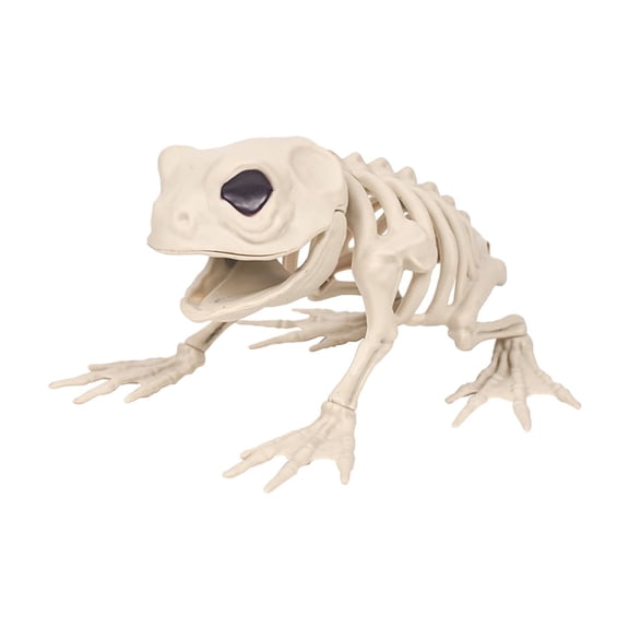 Halloween Frog Skeleton Ornament, 5.1x3.1x4.9in Plastic Prop, Realistic Horror Animal Decor, Detailed Skeleton Model, for Bar Party and Halloween Display